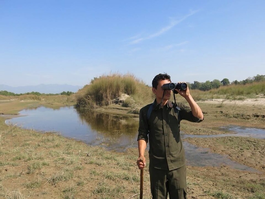 Walking safaris in Bardia National Park are such an exhilarating way to see the local wildlife. You'll walk beside elephant and tiger footprints, bird watch with binoculars and spy on rhinos bathing while hidden in the forest! While it's tougher to get to than Chitwan, Bardia is worth every sleepless hour on the bus!