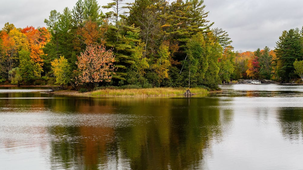 A calm lake surrounded by autumn-colored trees and a cloudy sky.