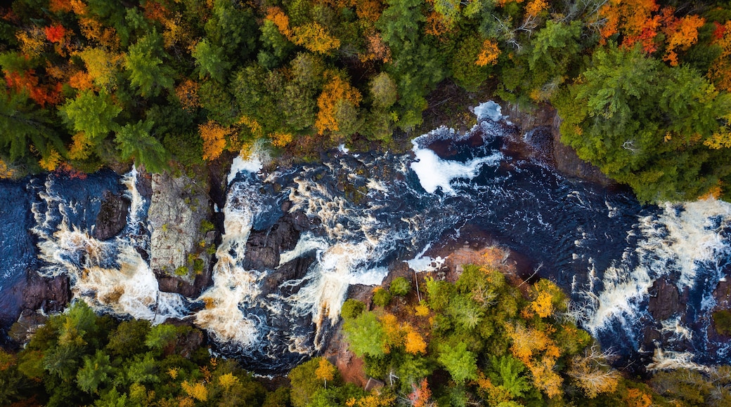 A river flowing through a forest with autumn foliage.