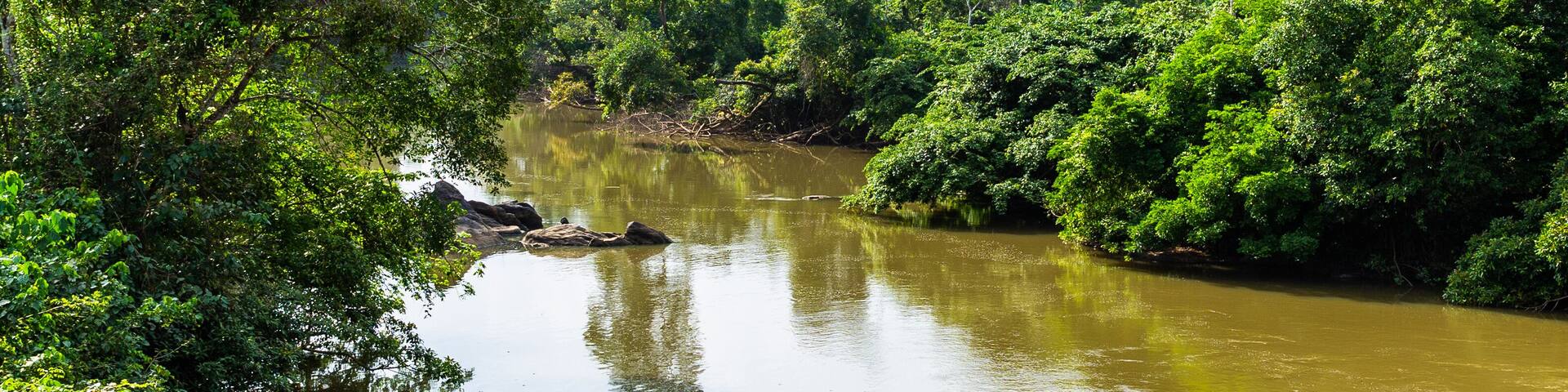 River Omo in Omo forest reserve, Ogun State Nigeria. Located about 135 kilometers from Lagos, the forest reserve consists of a large area of tropical rainforest covering 130,500 hectares .