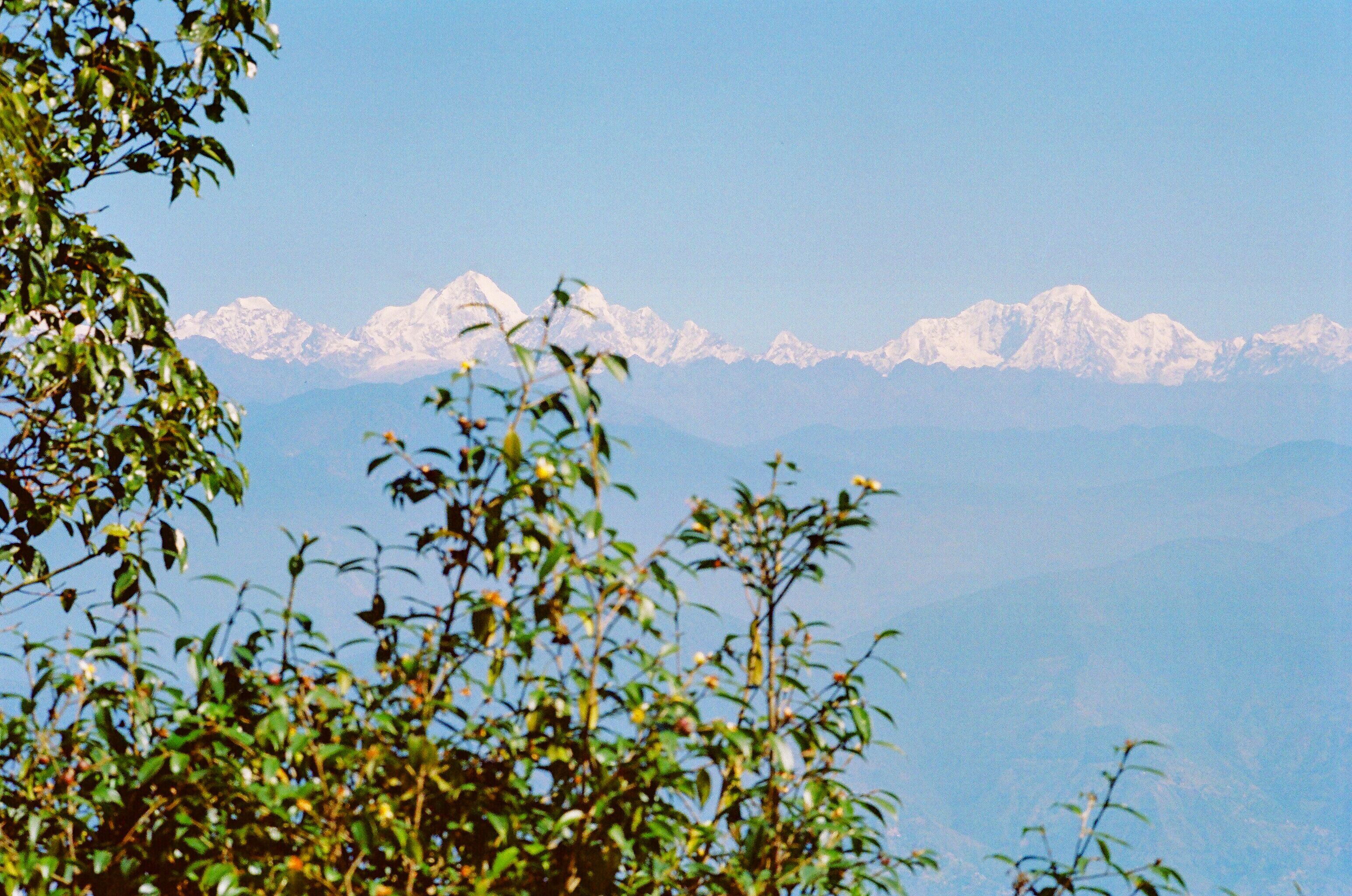 A mountain range with snow-capped peaks and lush green foliage in the foreground.