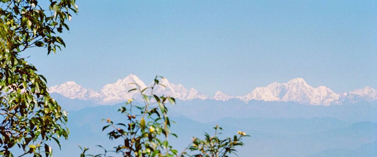 A mountain range with snow-capped peaks and lush green foliage in the foreground.