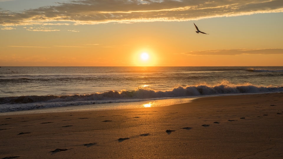 A sunset over the ocean with waves, a bird in flight, and footprints on the sand.