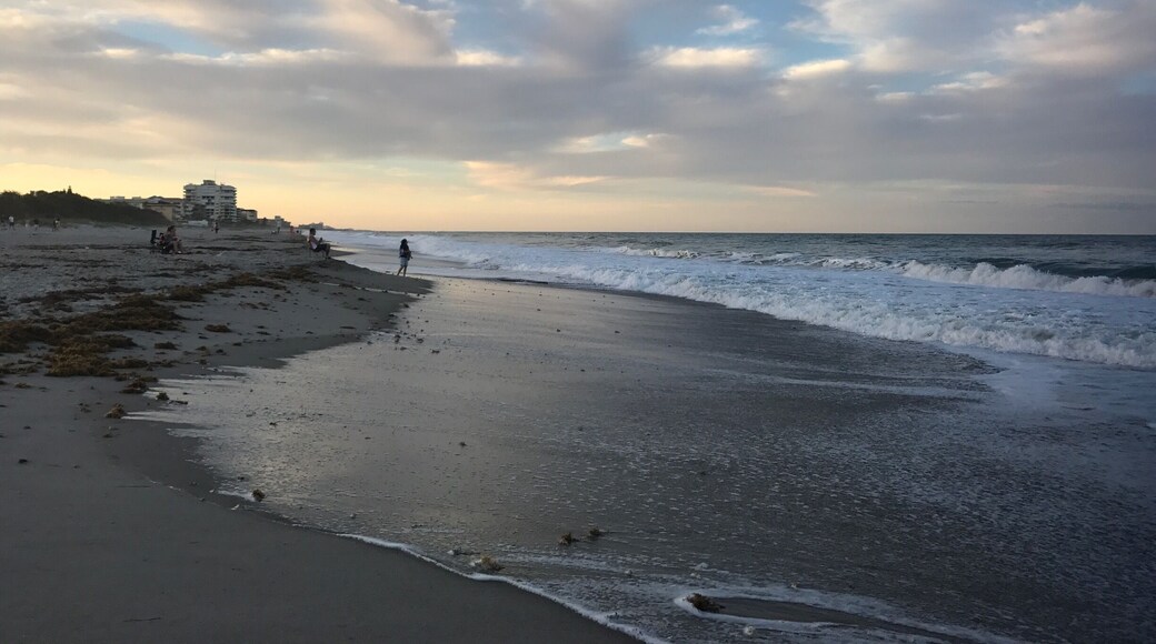 Indialantic beach outside of old Melbourne Florida :)