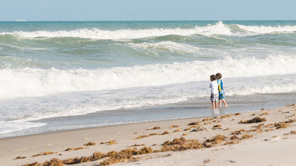 A beach with waves and seaweed.