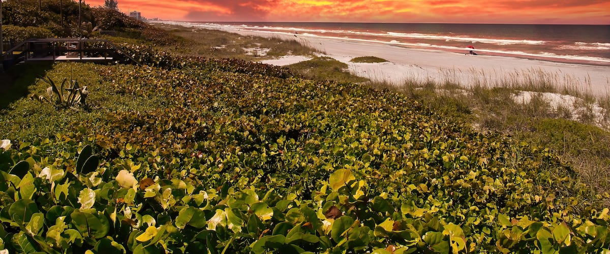 Ein Strand mit dichter Vegetation im Vordergrund und einem dramatischen Abendhimmel.
