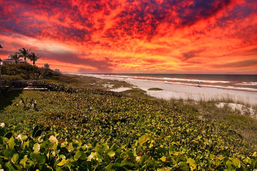 A beach with dense vegetation in the foreground and a dramatic sunset sky.