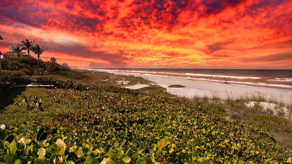 A beach with dense vegetation in the foreground and a dramatic sunset sky.