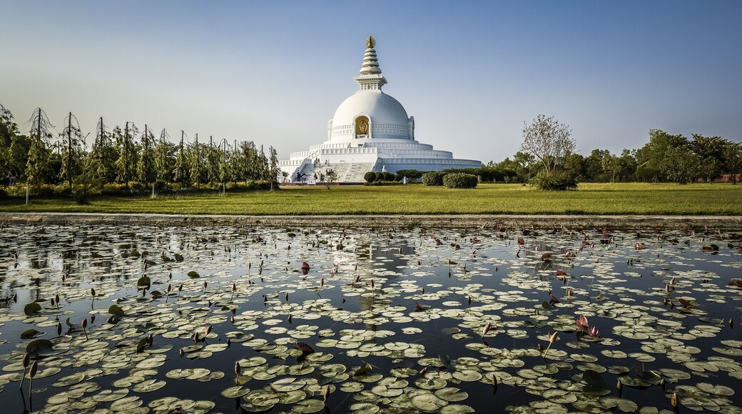 Japanese Peace Pagoda, one of the many international Buddhist temples surrounding the birthplace of Buddha Siddhartha Gautama, Lumbini, Rupandehi, Nepal, Asia