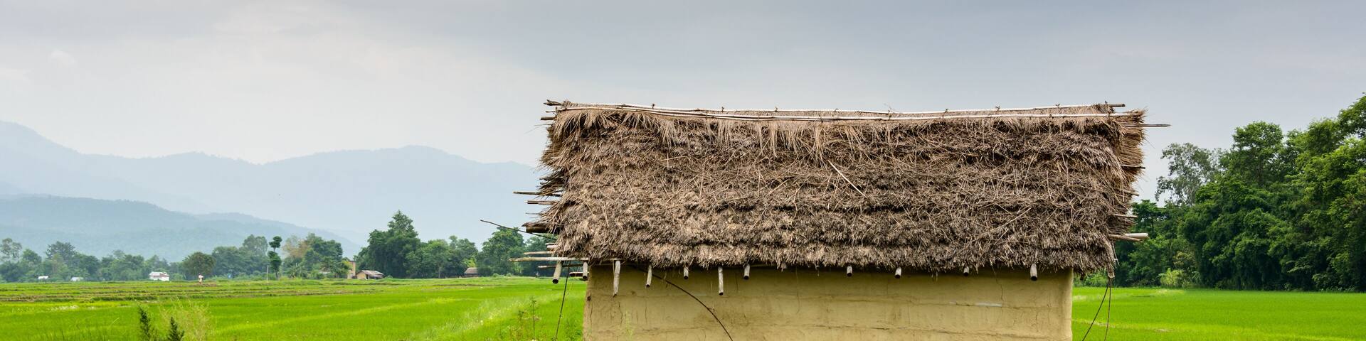Small house and rice fields in Nepal
