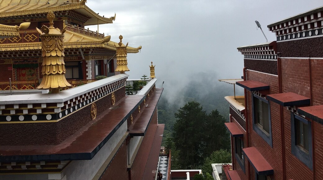 Beautiful gold and red impressive gold and red monastery- Namobuddha, Nepal
#Nepal #red #redphoto #travel #Archecture