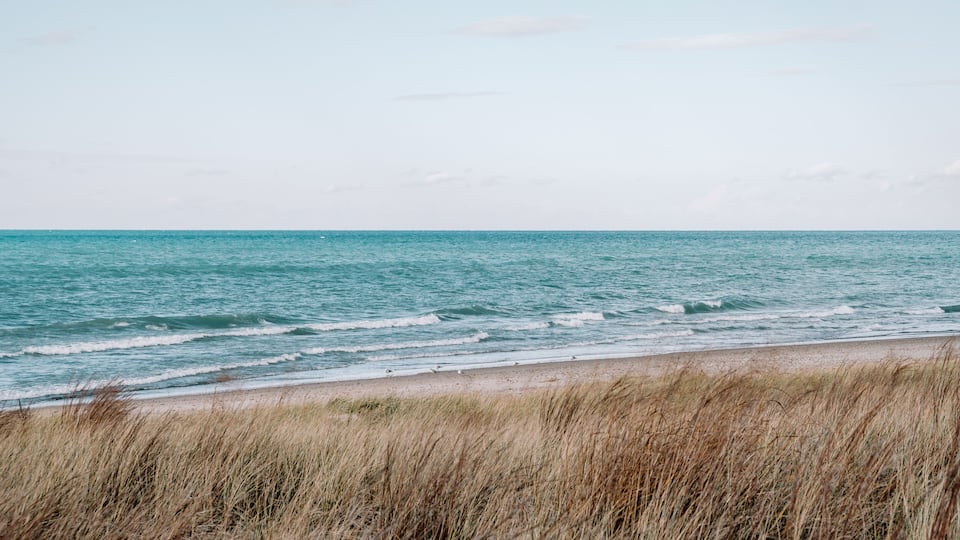 A beach with waves, a clear sky, and tall grass in the foreground.