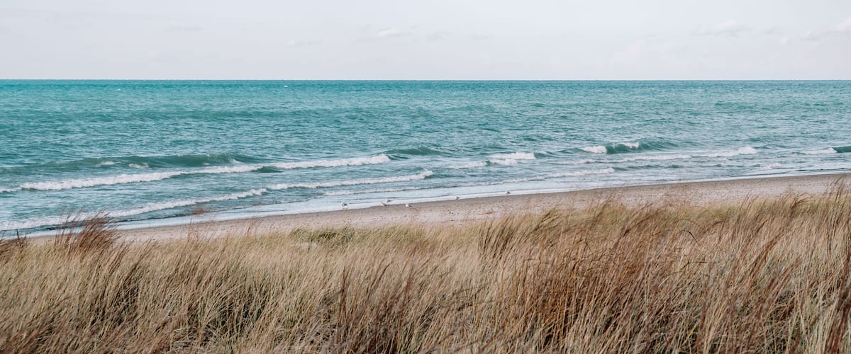 A beach with waves, a clear sky, and tall grass in the foreground.