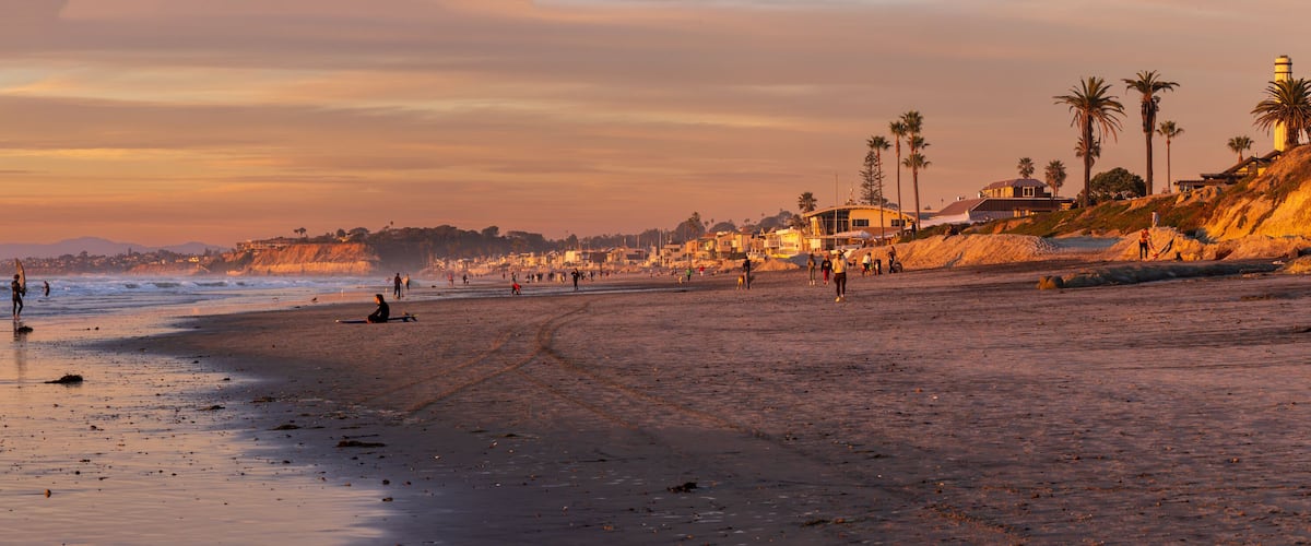 A beach with people, palm trees, and houses along the coastline.