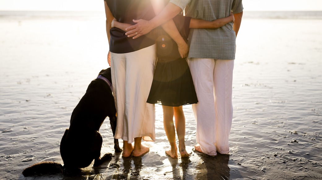 Family of Three & Dog on Beach at Sunset in San Diego