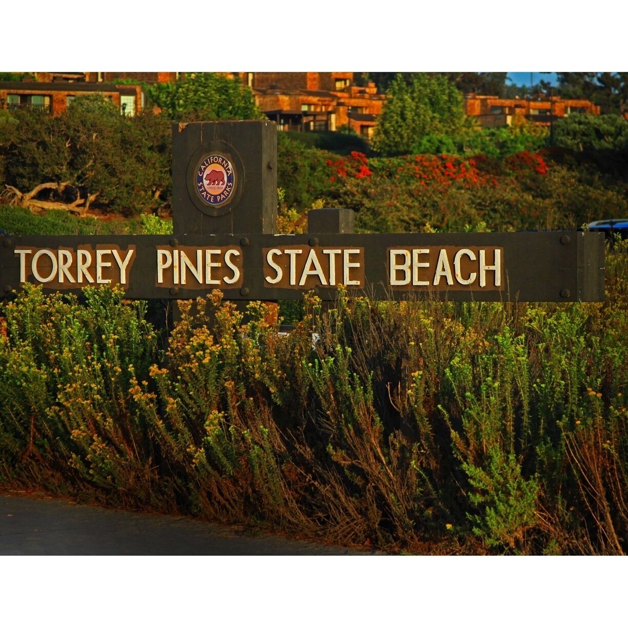 Another stunning location San Diego has to offer. Good surf and family friendly. Best time mid summer and fall. 