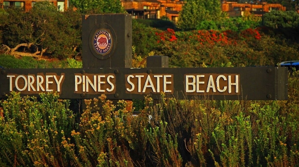 Another stunning location San Diego has to offer. Good surf and family friendly. Best time mid summer and fall.