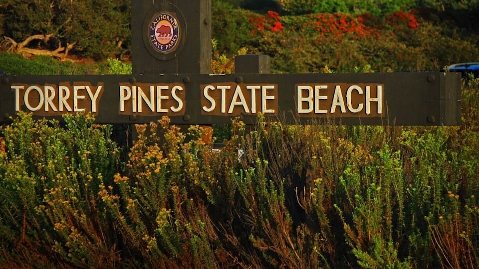 Another stunning location San Diego has to offer. Good surf and family friendly. Best time mid summer and fall.