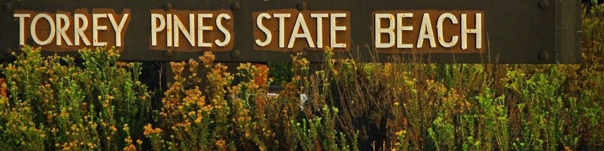 Another stunning location San Diego has to offer. Good surf and family friendly. Best time mid summer and fall.