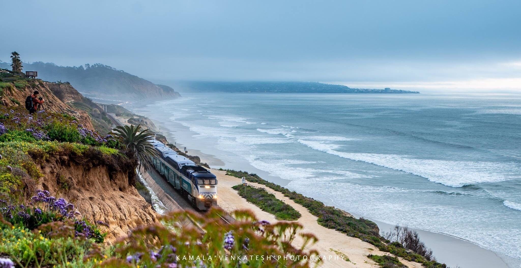 The Coaster is a commuter train in San Diego County, California, that connects the communities of San Diego to Oceanside and all the communities in between. In some parts, it hugs the coast. Crumbling cliffs are becoming hazardous! At springtime, these wild flowers bloom creating a great foreground for photographers to capture the train from above.

#ontheroad #ontheroadcontest