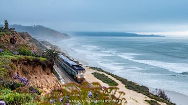 Del Mar