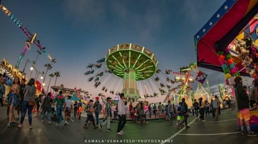 Up for some fun...coming up the Del Mar Fair in Southern California