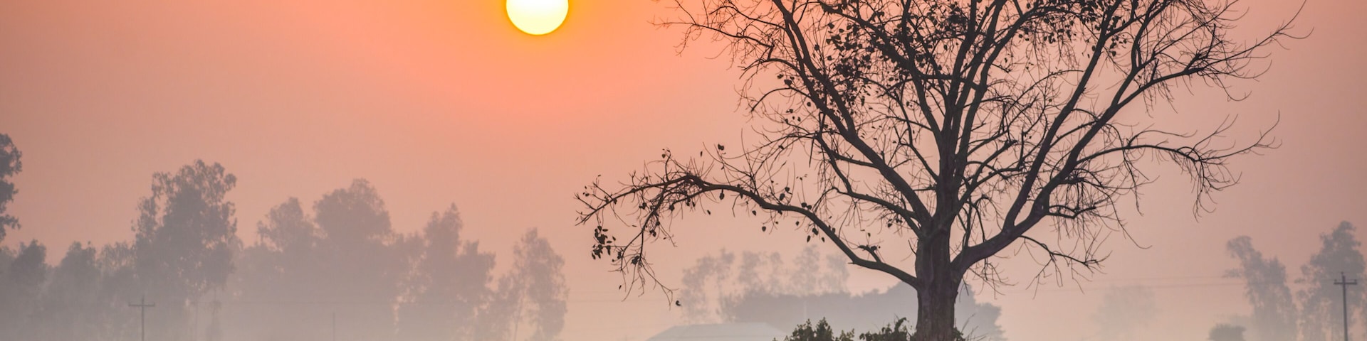 Bogura, Bangladesh - 31 January 2019: View of farmers silhouetted against the soft, diffused light of dawn, working the misty fields near the Bogura district.