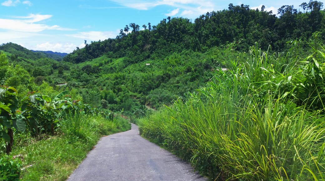 Empty mountain road or street display with nature around.Road to the great mountain at Sajek, khagrachari district, Bangladesh