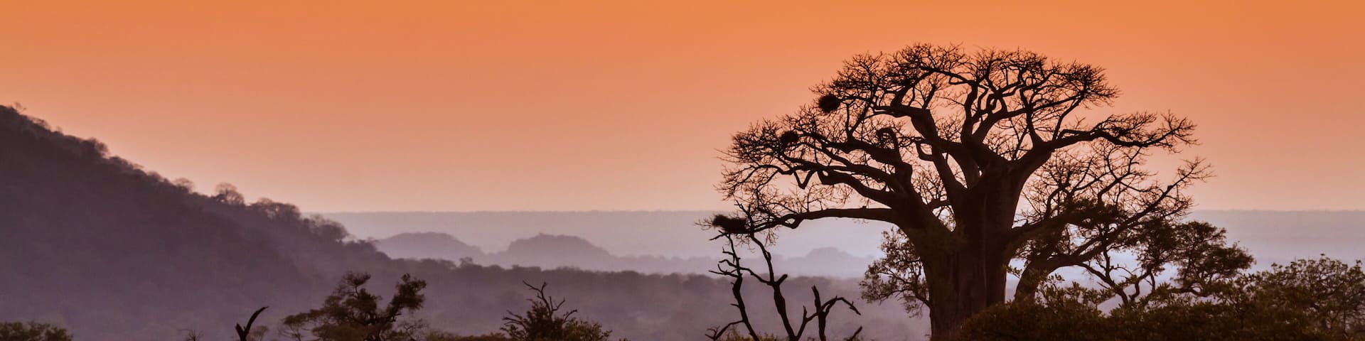 Landscape with Baobab in Kruger National park, South Africa