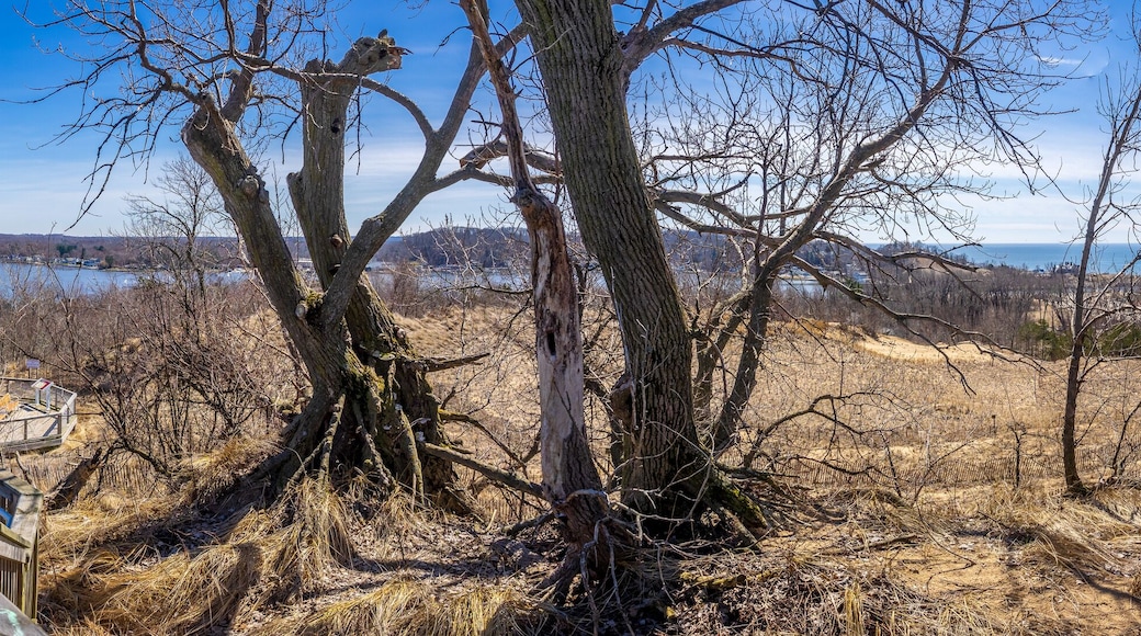 Mt. Pisgah - Historic Ottawa Beach