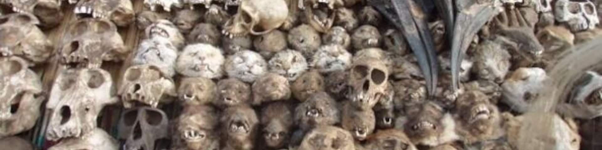 #market
For all your voodoo needs!