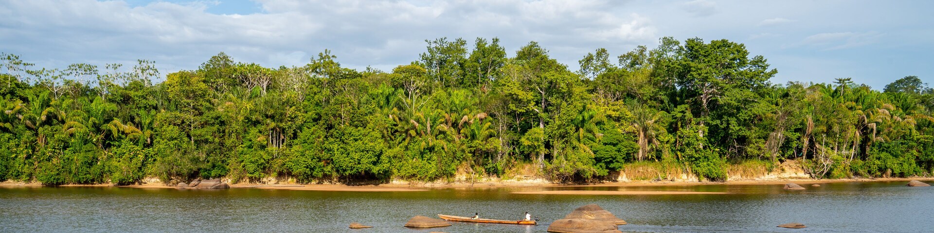 Scene on the bank of Suriname river