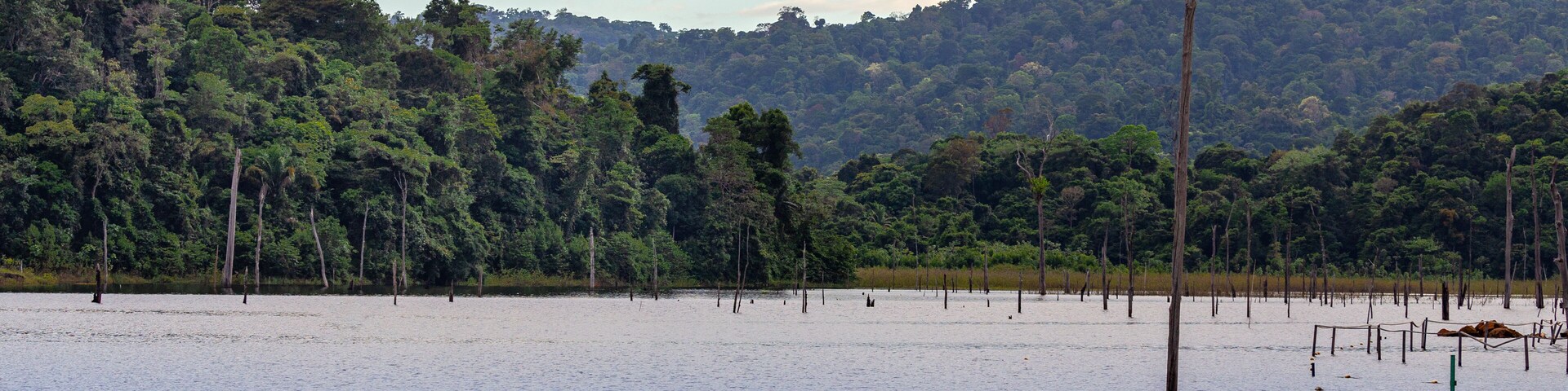 Brokopondo lake reservoir amd Ston Island in Suriname, South America