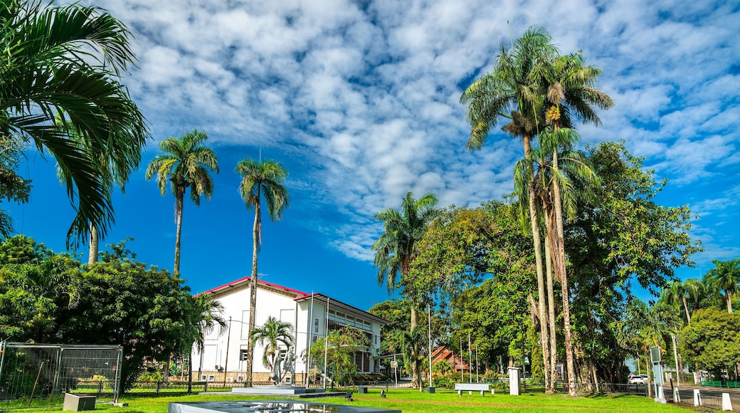 Cabinet of the President of Suriname with palm trees in Paramaribo