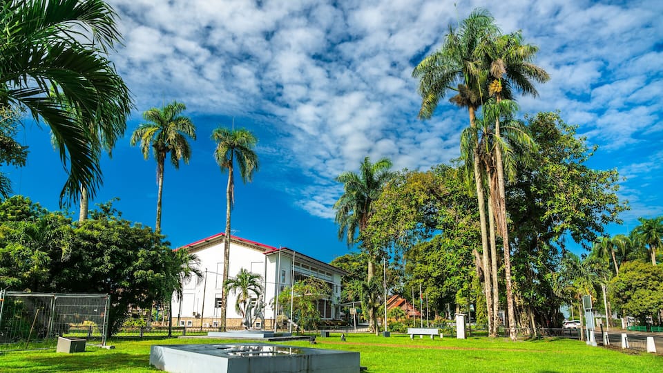 Cabinet of the President of Suriname with palm trees in Paramaribo