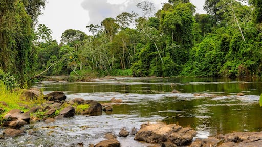 ์นด๋ฐ๋ ๋ณด