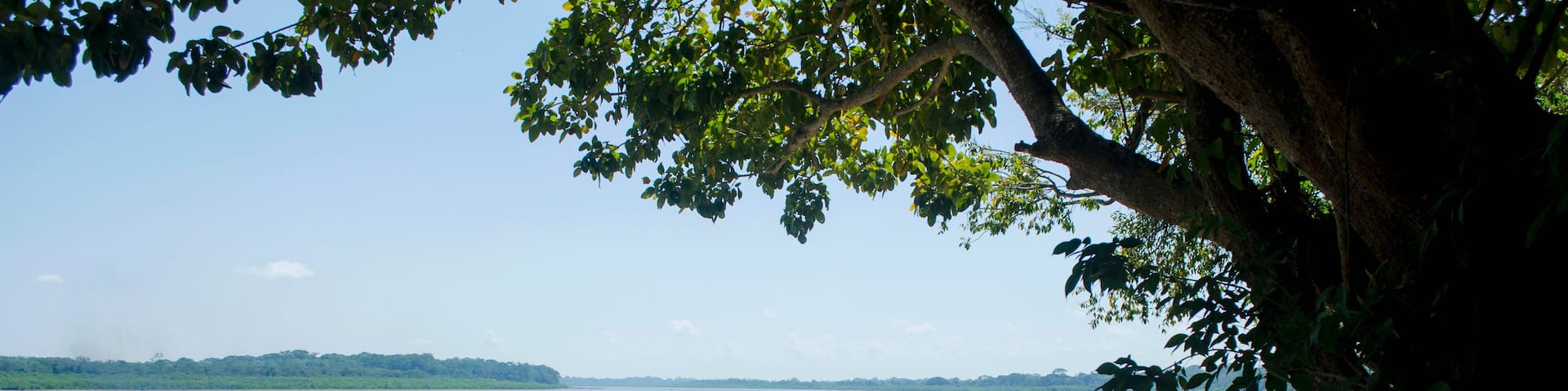 lake in the peruvian jungle