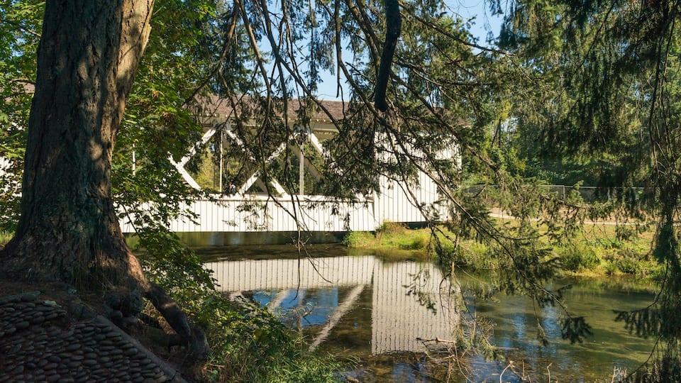 A wooden bridge over a calm river, surrounded by trees and greenery.