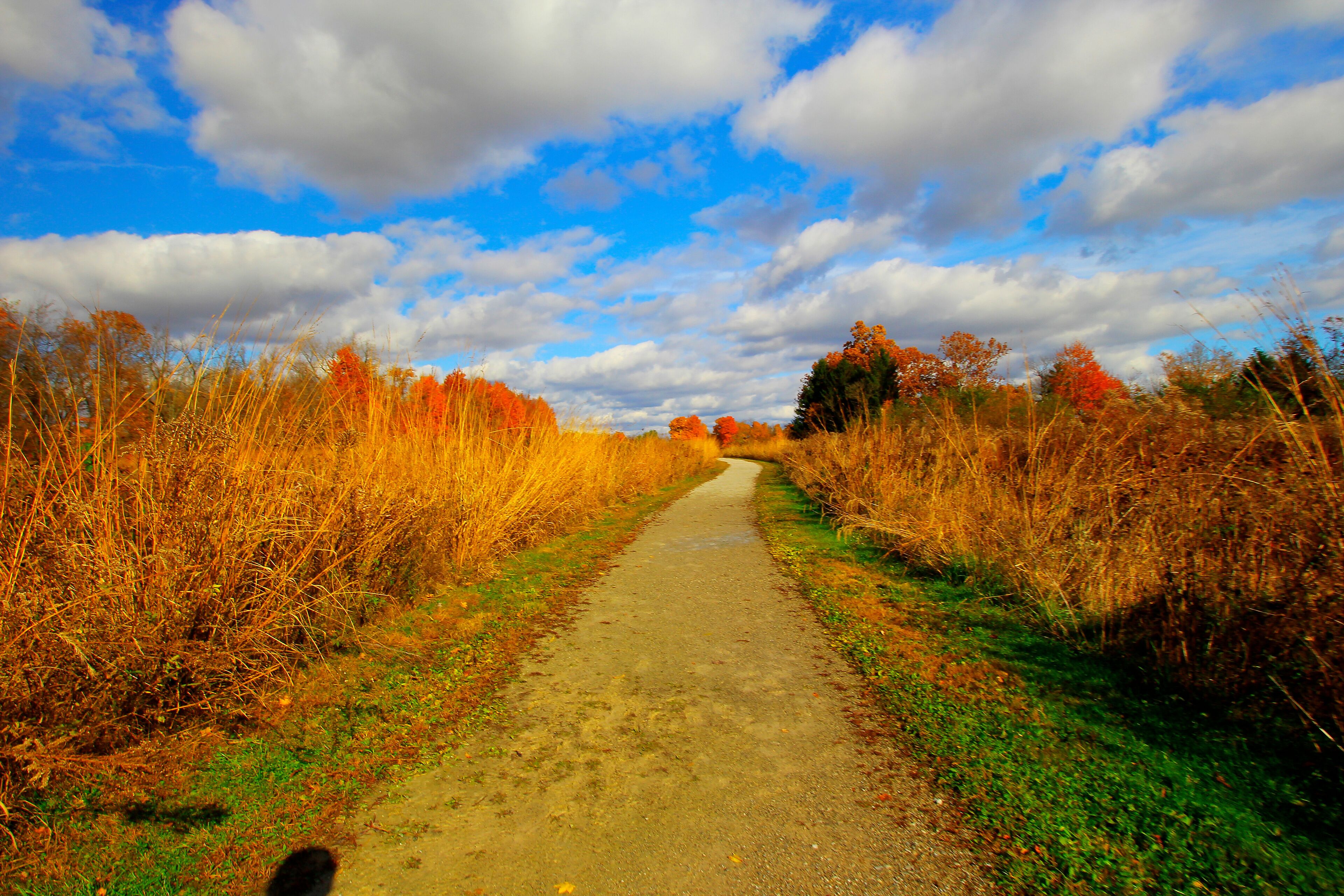 Shale Hollow Park in Autumn, Lewis Center, Ohio