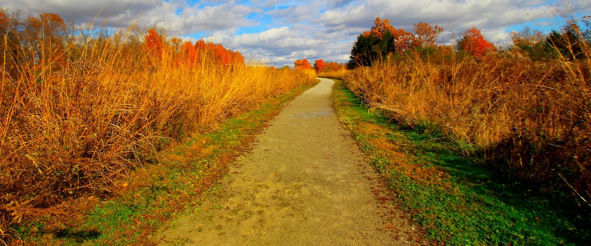 Shale Hollow Park in Autumn, Lewis Center, Ohio