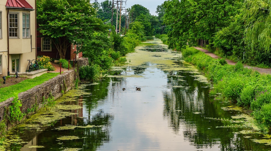 Delaware Canal Towpath and goose, Historic New Hope, PA USA; Shutterstock ID 682215601; Purchase Order: -