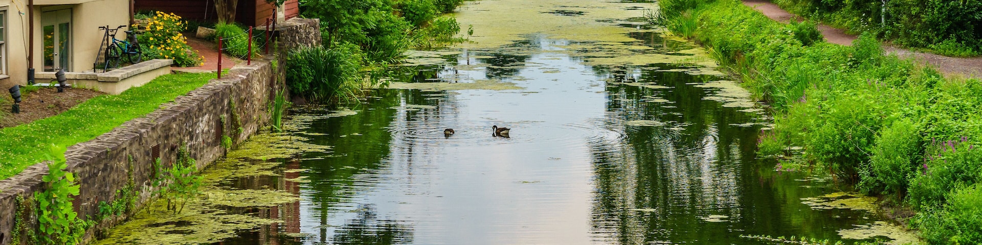 Delaware Canal Towpath and goose, Historic New Hope, PA USA; Shutterstock ID 682215601; Purchase Order: -