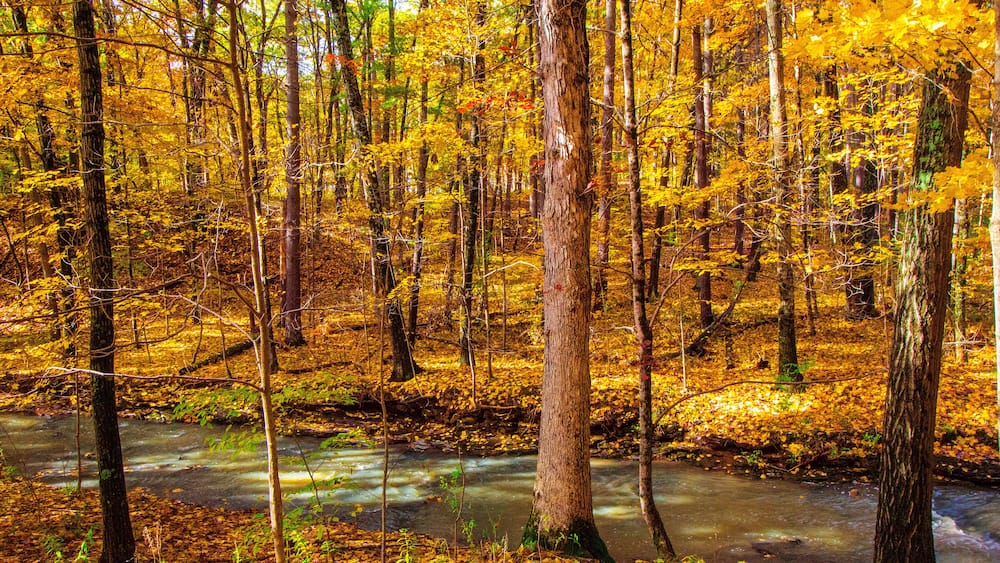 Shale Hollow Park in Autumn, Lewis Center, Ohio