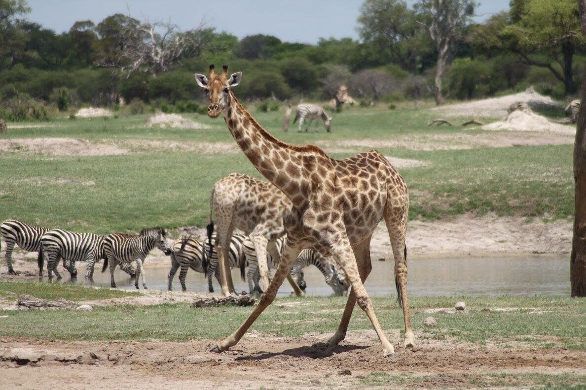 Christmas Eve with this beauty