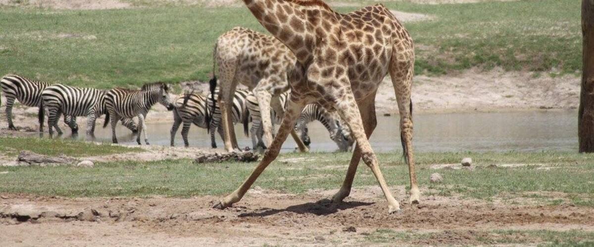 Christmas Eve with this beauty