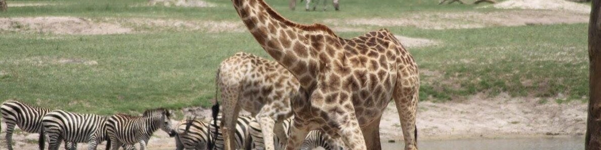 Christmas Eve with this beauty