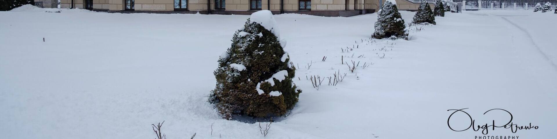 palace of hetman Rozumovskiy