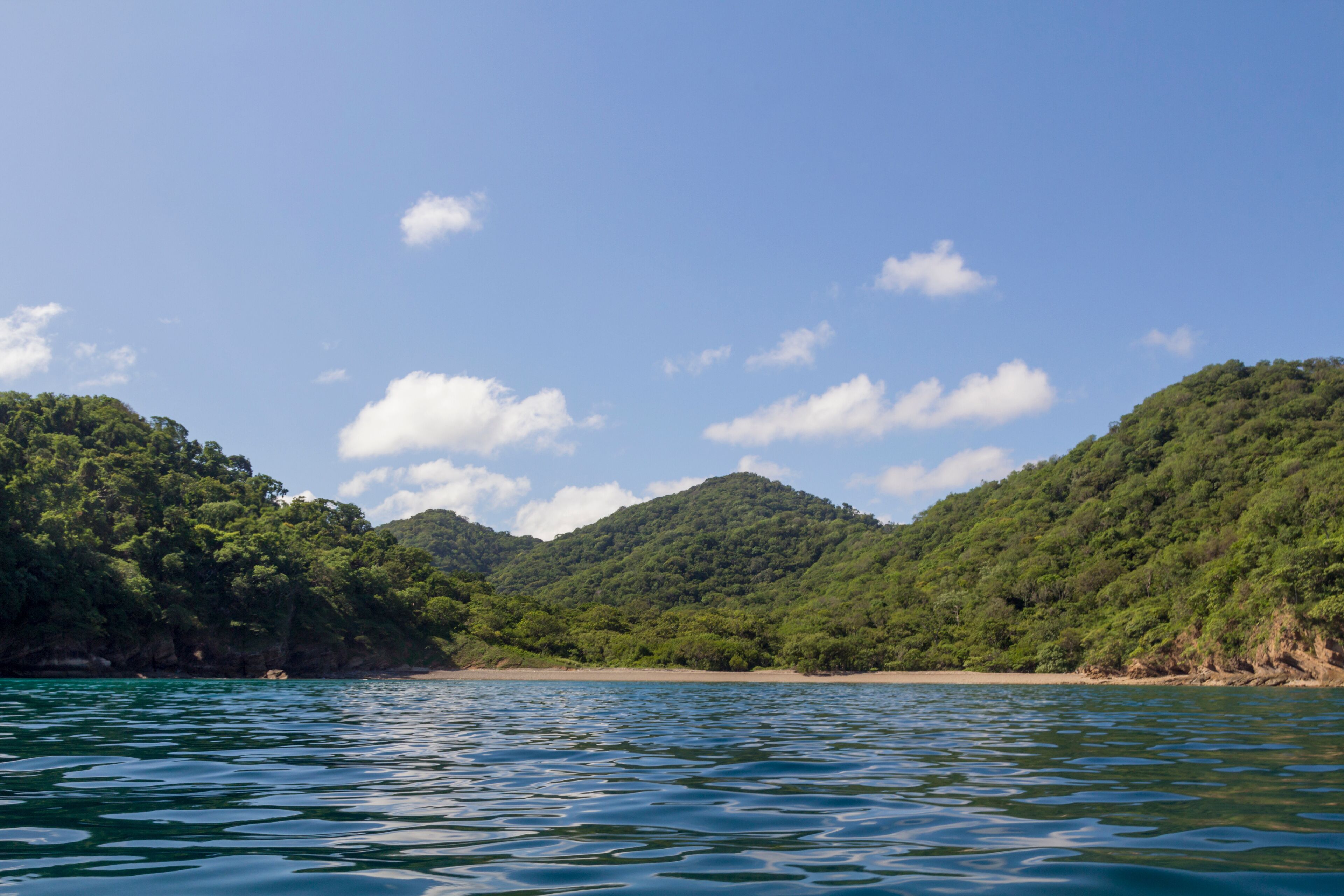 A coastal landscape with a beach and forested hills.