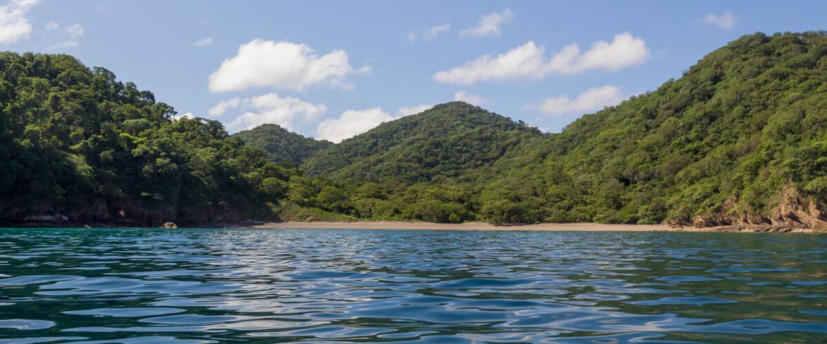 A coastal landscape with a beach and forested hills.