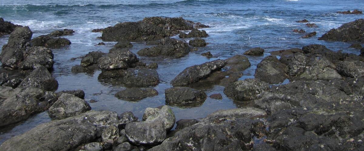 A rocky shoreline with waves crashing against the rocks under a clear sky.